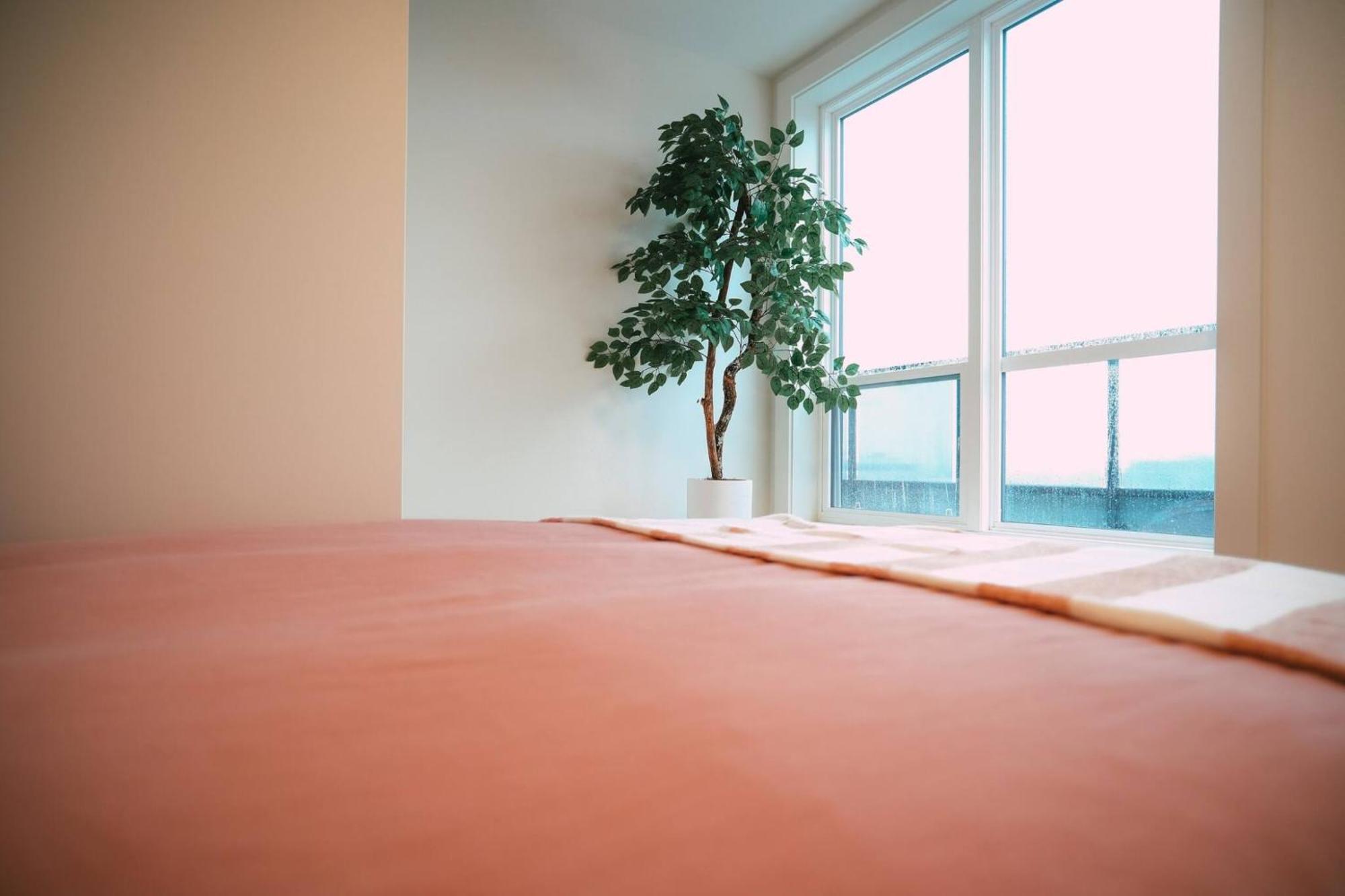 شقة Chic Cozy Retreat - 2Br - Stunning North End Views هاليفاكس المظهر الخارجي الصورة